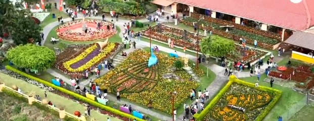 Feria de las Flores y el Café en Boquete iniciará el 8 de enero