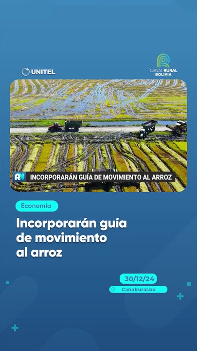 Incorporarán guía de movimiento al arroz
