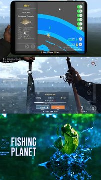 How to catch Cannibal Eel Fish Monster at Ghent Terneuzen Canal | Fishing Planet