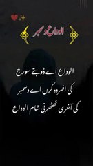 الوادع دسمبر,Urdu quotes Amazing|aqwal e zareen|gehri baatien |goodbye December