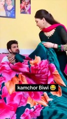 Funny vedeos .chase bunnado