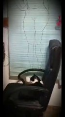 On a fait connaissance il y a 2 semaines   2