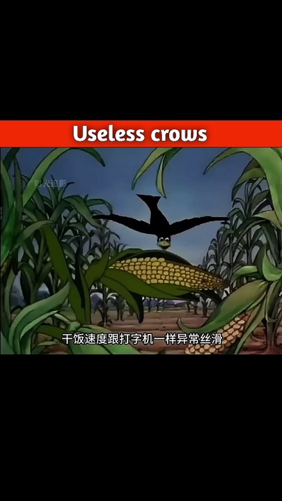 Useless crows