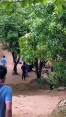 Experiencing Tranquility and Sustainability Eco Villa Resort in Bandarban 01