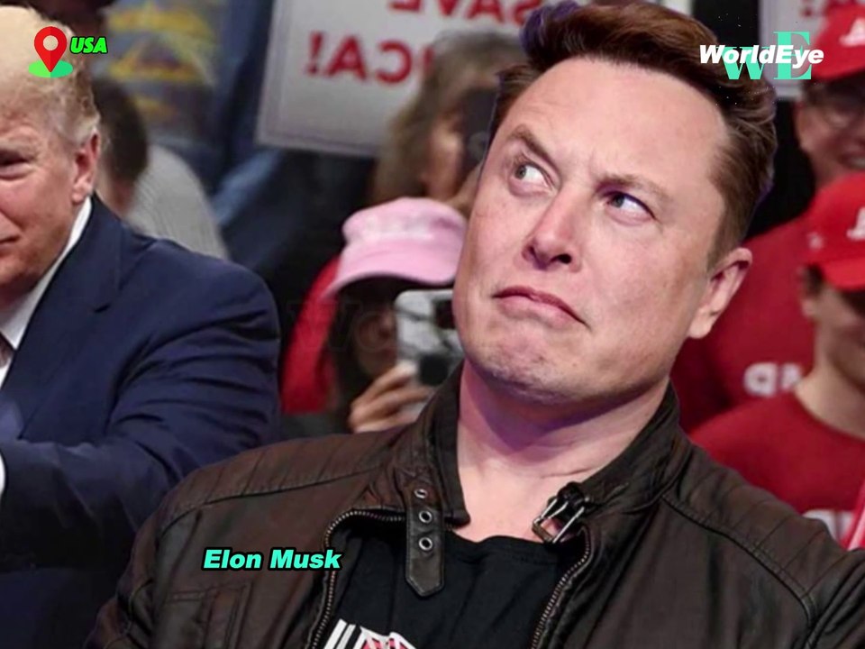 Elon Musk and Trump: The Mar-a-Lago Cottage That Costs $2,000 a Night - WorldEye