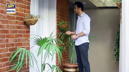 Cheekh_Episode_15___13th_April_2019___ARY_Digital_[Subtitle_Eng](360p)
