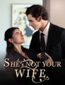 She is Not Your Wife, Love Actually All Around Full