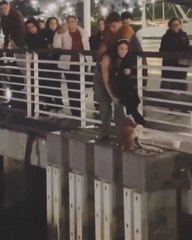 El heroico gesto de esta mujer que arriesga su vida para salvar a un perrito