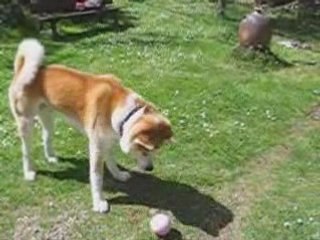 2008-04-26-touraine_0001