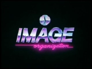Image Organization (1996)