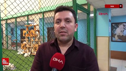 2024’te Van Kedi Villası’na 200 bin ziyaretçi