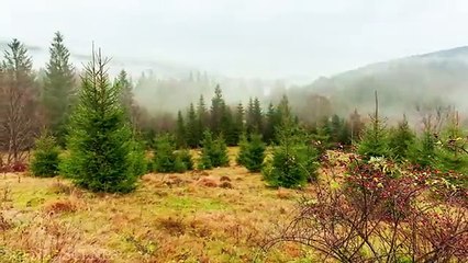 Ukraine In 4K - Country Of Beautiful Natural Wonders _ Scenic Relaxation Film