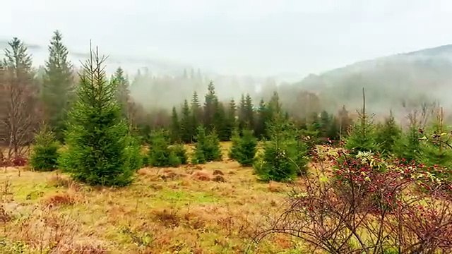 Ukraine In 4K - Country Of Beautiful Natural Wonders _ Scenic Relaxation Film