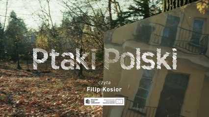 Michał Szturomski - Ptaki Polski