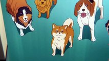When you don't like dogs but dogs like you | Poor Negotani | My Life as Inukai-san's Dog