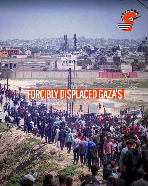 Amnesty- -Gaza Faces Genocide-
