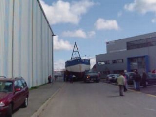 Biche bouge 28 avril 2008