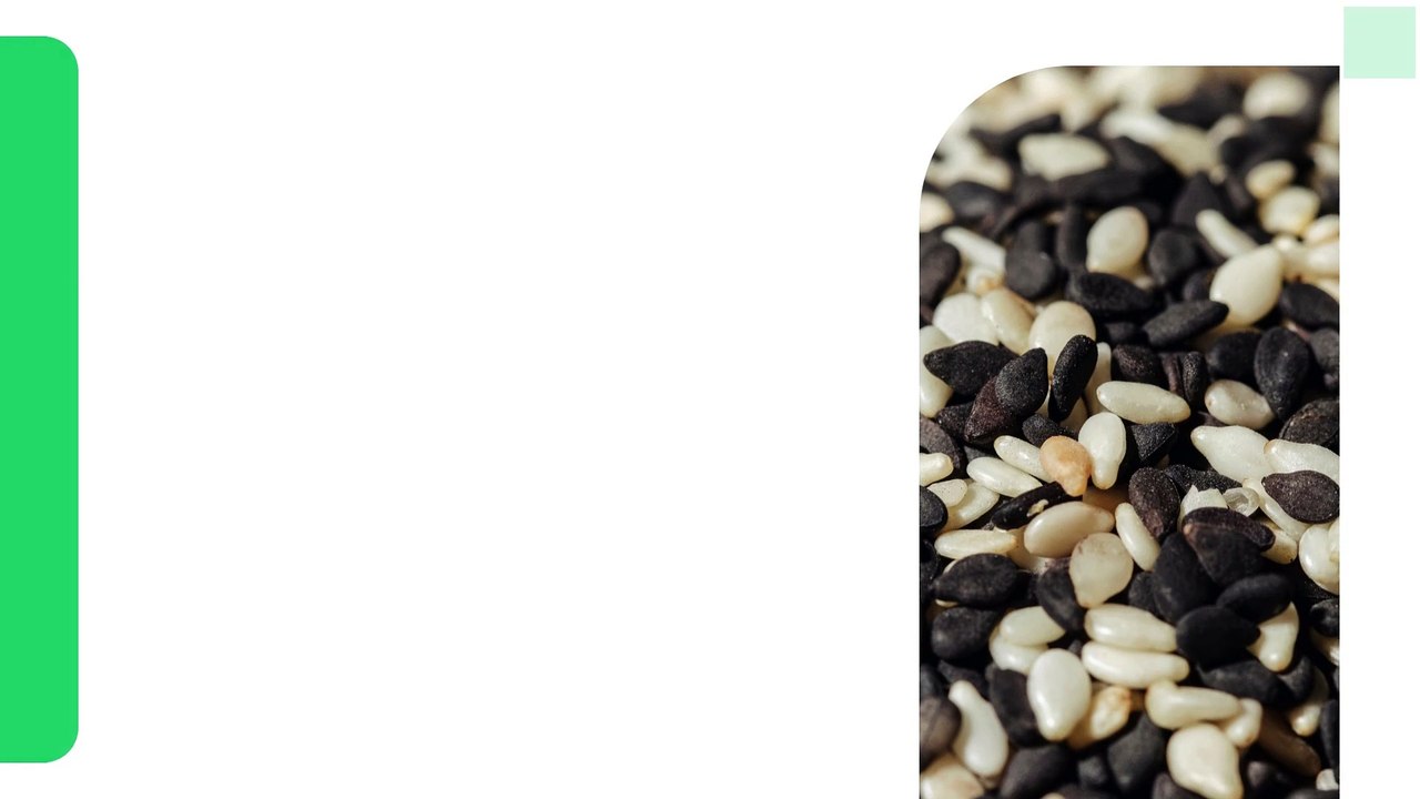 Shelled Pumpkin Seeds A Superfood for Your Daily Nutrition Needs