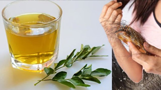 Curry Leaves Water Benefits For Hair: करी पत्ते के पानी से सिर धोने के फायदे, Hair Fall To Dandruff