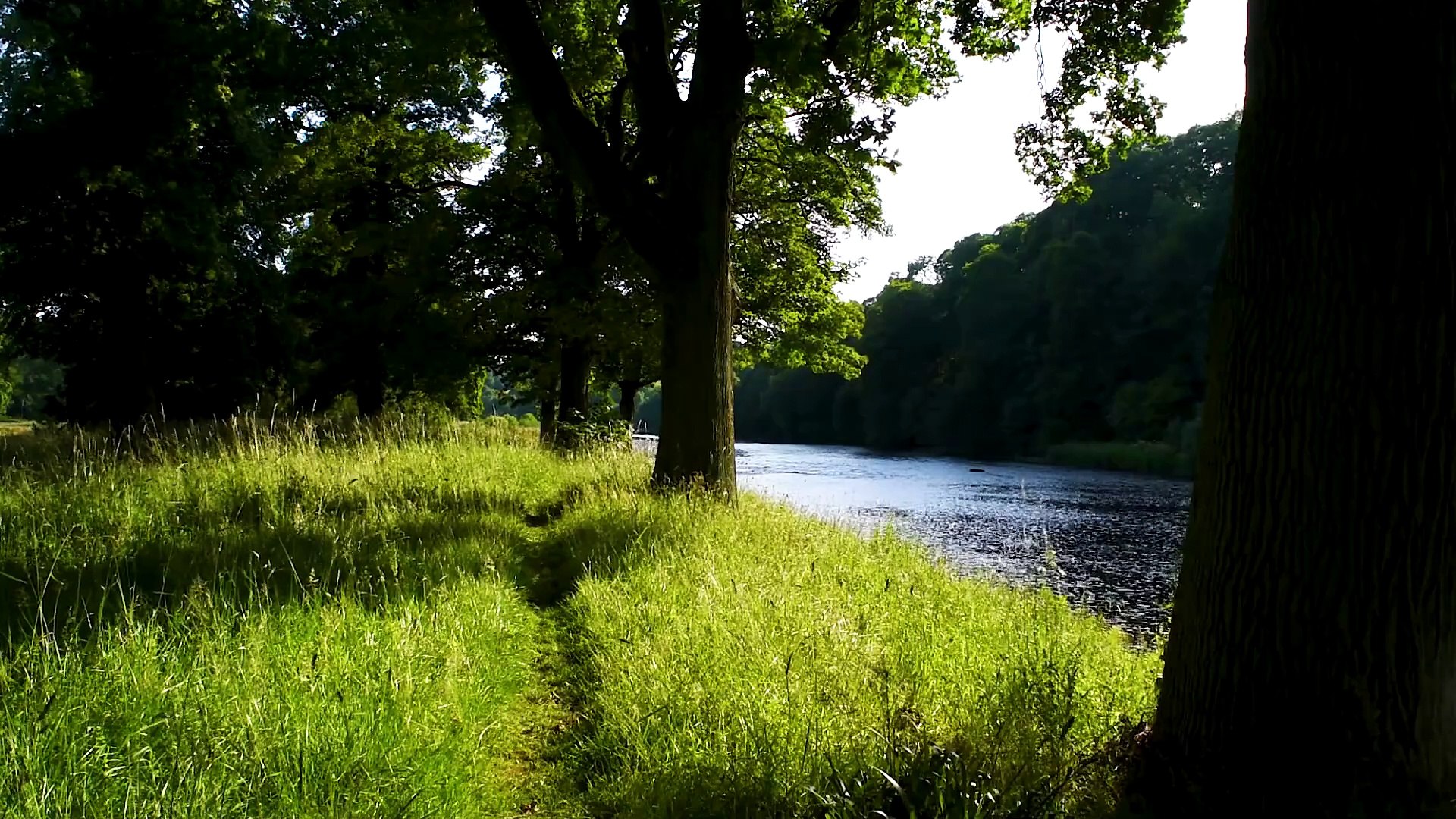 ⁣Natural environmental sounds / Sounds of rivers with spring water / Chirping sound of birds