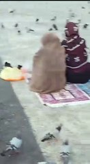 روضہ رَسُول اللہ ﷺ مسجدنبوي الشريفﷺ  سے لائیو  اَلصَّلٰوۃُ وَالسَّلَامُ عَلَیْکَ يَاسَيِّدِۡ  الْاَنْبِیَاءِ وٙالْمُرْسَلِیْنْ ﷺ اَلصَّلَوۃُ وَالسَّلاَمُ عَلَیکَ یَا سَیِّدِی یَا خَتَمَ النَّبِیِّنﷺ اللهم صلّ على محمد وعلى آل محمد ، كما صليت على إبراهيم و
