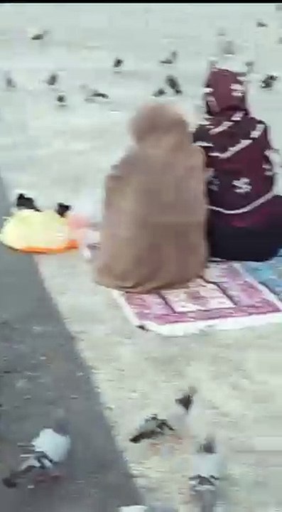 روضہ رَسُول اللہ ﷺ مسجدنبوي الشريفﷺ  سے لائیو  اَلصَّلٰوۃُ وَالسَّلَامُ عَلَیْکَ يَاسَيِّدِۡ  الْاَنْبِیَاءِ وٙالْمُرْسَلِیْنْ ﷺ اَلصَّلَوۃُ وَالسَّلاَمُ عَلَیکَ یَا سَیِّدِی یَا خَتَمَ النَّبِیِّنﷺ اللهم صلّ على محمد وعلى آل محمد ، كما صليت على إبراهيم و