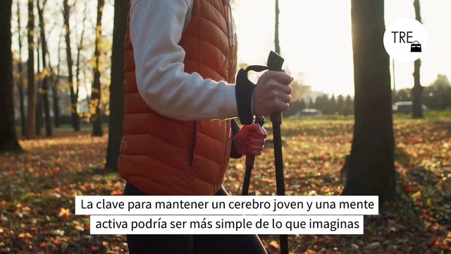 Según esta neurocientífica esto es lo mejor que puedes hacer todos los días para tener un cerebro saludable solo te tomará 10 minutos