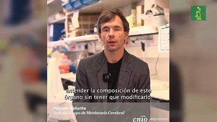 Desarrollan una linterna molecular para detectar metástasis en zonas profundas del cerebro