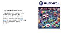 Sweepstakes Casino Software Providers TRUEiGTECH