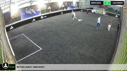 But de Liam D - biso goat