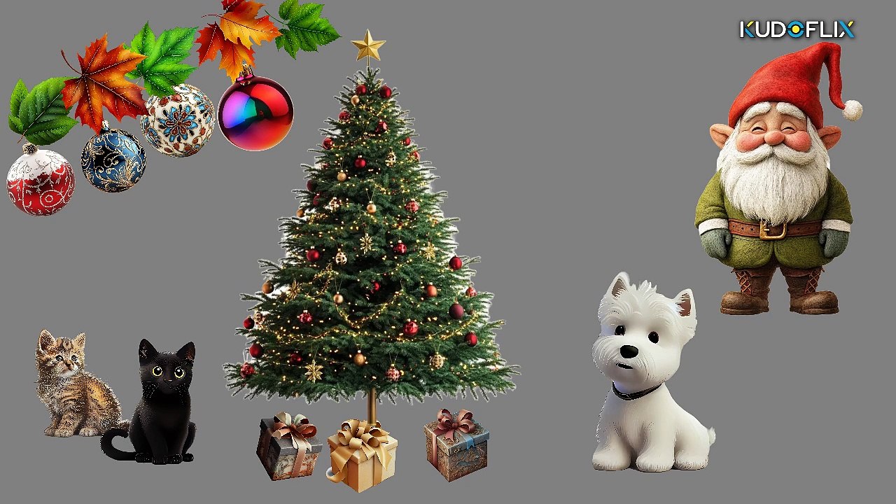 DECEMBRE concours 2024