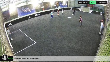 But de Jibril T - biso goat