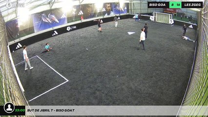 But de Jibril T - biso goat