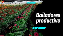 Al Aire | Conoce las principales producciones de la población de Bailadores del estado Mérida