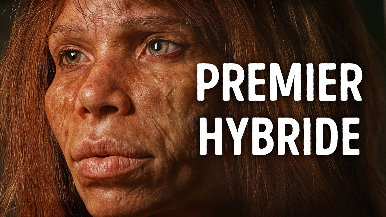 Les Scientifiques Ont Trouvé La Preuve Du Mélange Des Espèces Humaines