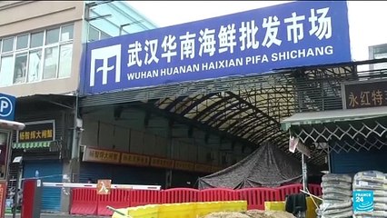 WHO calls for more transparency on COVID-19 from China