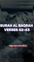 Surah Al baqrah verses 42-43 Urdu translation. #recitation #Quranverses #tilawat #