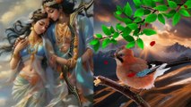 International Radha Krishna Bhajan/Worldmusic/Refreshing Tune