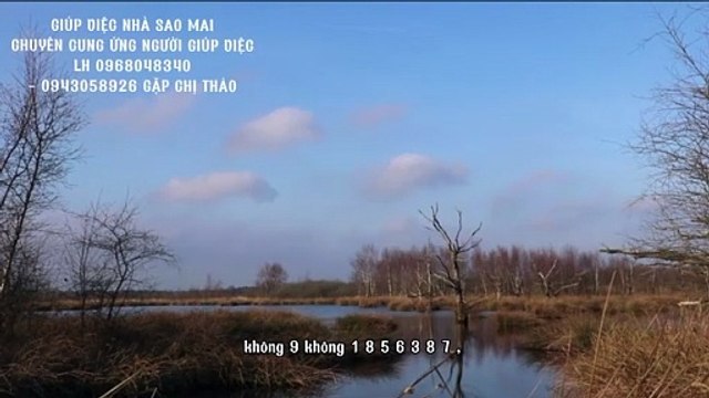 CẦN TÌM NGƯỜI NUÔI BỆNH GỌI CHỊ THẢO DỊCH VỤ SAO MAI LÀ CÓ NGƯỜI SAU 1 PHÚT