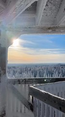 LA FORÊT MAGIQUE di Québec