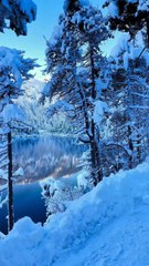 BALADE MATINALE au lac Eibsee