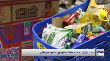 حصاد 2024.. جهود مكثفة لتوفير السلع للمواطنين