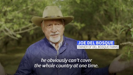 California farmers fret over Trump's deportation plans