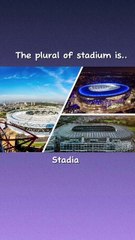 Plurals in English Vocabulary