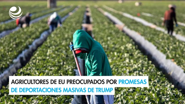 Agricultores de EU preocupados por promesas de deportaciones masivas de Trump