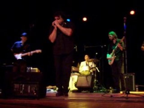 Napkings' Hoochie Coochie man en concert au Barp