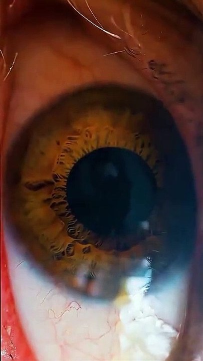 Surah Al-Mu'minun [84-87] | ‎سورة المؤمنون [٨٤-٨٧] #fyp #quran #ياسر_الدوسري