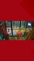 Vídeos mostram namorada ferida após confusão com Uelber