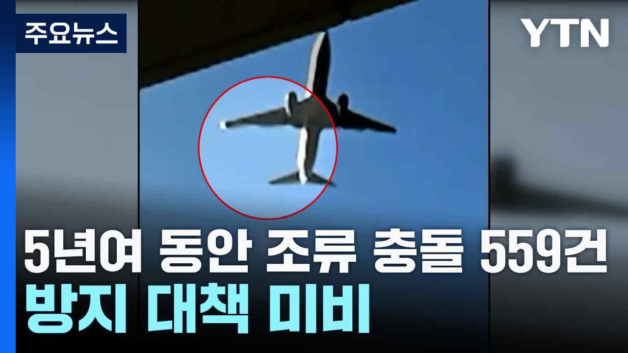 5년여 동안 조류 충돌 559건...방지 대책 미비 / YTN