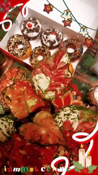 Our Cozy Home Café + DD